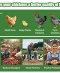 Adult hens, baby chicks, and chickens with farmers using Chicken Nesting Herbs 42oz Bulk Bag For Laying Boost And Cozy Hens.