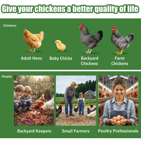 Adult hens, baby chicks, and chickens with farmers using Chicken Nesting Herbs 42oz Bulk Bag For Laying Boost And Cozy Hens.