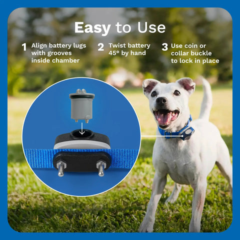 Power Cap Battery 2 Pack For Dog Fence Collars Long Lasting 90 Day Battery Replacements Up To Six Months Of Coverage Keep One On Hand So Your Collar Never Goes Dead. dog collar battery installed in invisible fence receiver