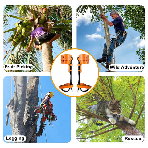 Tree Climbing Gear Set With Adjustable Spikes And Ergonomic Foot Design For Logging And Forestry, Pro Grade Climbing Spurs.