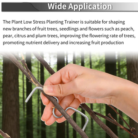Hand using Open Angle Branch Pullers Set For Fruit Trees 100 Pack With 4.4 Inch And 3.4 Inch Branch to shape tree limb