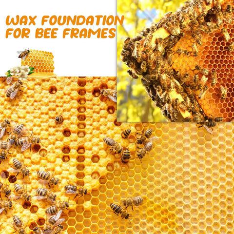 40 Pcs Waxed Coated Beehive Foundation Sheets For Bee Frames Deep Frames Yellow Beeswax Coated Foundation Sheets Beekeeping Supplies