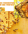 20 Pcs Beehive Waxed Coated Foundation Sheets For Bee Frames Portable Plastic Beekeeping Honeycomb Sheets Beeswax Coated