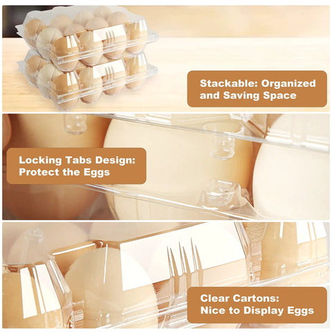 Clear Plastic Egg Cartons 50 Pack For 12 Eggs Each, showing stackable design and locking tabs for safe egg storage.