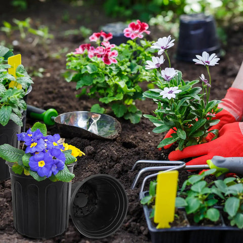 60 Pack One Gallon Plastic Plant Pots With Drainage Holes For Seedlings Cuttings And Transplants Perfect For Home Gardens