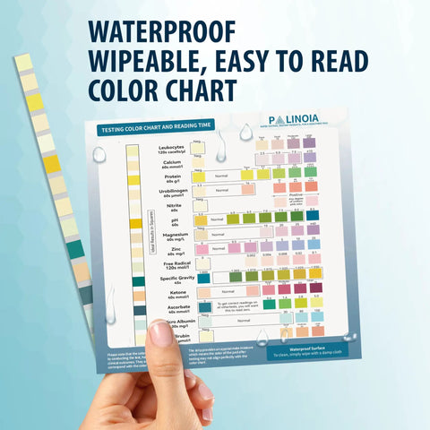 14 Parameter Urine Test Strips Full Panel For Home Health Check 100 Count Bottle With Urinalysis Screening For Kidney And Liver Health And UTI Detection Includes Ketones Protein Hydration And Acidity Level color chart with strip