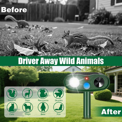 Solar Powered Ultrasonic Pest Deterrent For Your Yard And Garden, Motion Sensor Outdoor Light That Fends Off Raccoons, Squirrels, Rabbits, Cats, Dogs And Skunks, IP65 Weatherproof Animal Repeller in lawn before-and-after view