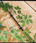 Hanging Basket Drip Irrigation Kit With 1 Outlet Digital Hose Faucet Sprinkler Timer alongside green plant leaves on wood
