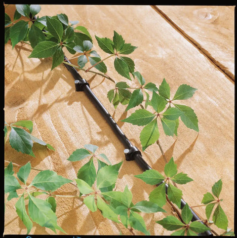 Hanging Basket Drip Irrigation Kit With 1 Outlet Digital Hose Faucet Sprinkler Timer alongside green plant leaves on wood