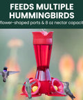 Hummingbird Feeder With Pinch Waist Design No Fuss No Mess Easy Fill And Clean With Bee Guards Keeps Bees Out Four Flower Ports 8 Ounce Capacity Outdoor Garden Or Patio Bird Feeder