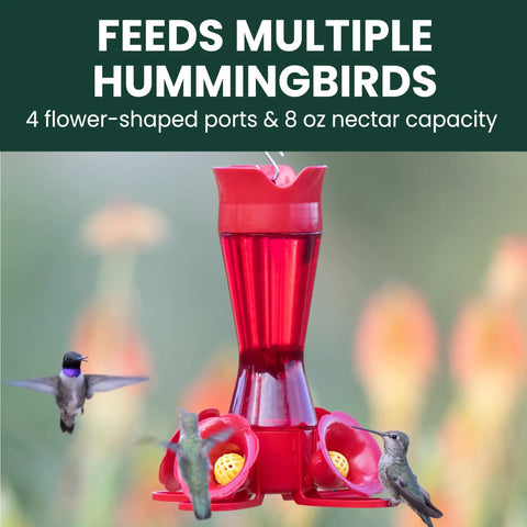 Hummingbird Feeder With Pinch Waist Design No Fuss No Mess Easy Fill And Clean With Bee Guards Keeps Bees Out Four Flower Ports 8 Ounce Capacity Outdoor Garden Or Patio Bird Feeder