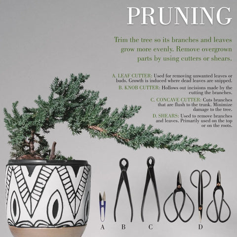 15 Piece Bonsai Master Tools Set With Case Including Heavy Duty Shears Concave Cutter Knob Cutter Wire Cutter Leaf Trimmer Root Rake Branch Benders Jin Pliers Root Cutter Trunk Splitter Moss Brush And More For Beginner Friendly Bonsai Care