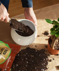 Person using Ready To Grow Seed Starter Soil Mix 1 Qt For Germination And Early Growth Loamy Well Drained Compost Blend Ideal For Veggies, Flowers And Houseplants Now to plant a small potted plant.