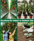 Collage showing indoor and outdoor plant care with 2 In 1 Soil Test Kit For pH And Nitrogen With 150 Strips, plants thriving