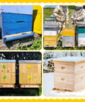 Four Pack Wood Beehive Entrance Reducers for Ten Frame Beehives Easy Install Protectors for Beekeeping Supplies outdoors