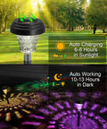 Seven Pack Solar Pathway Lights with RGB Color Changing and a Lit Warm White Glow IP67 Waterproof Outdoor LED in garden setup.
