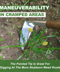 Long Handled Sickle Hoe For Easy Weeding In Tight Beds 58 Inch Japanese Stainless Steel Scraper Hoe in use on garden weeds