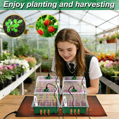 All In One Seed Starter Kit With Grow Light And Heat Mat For Indoor Gardening Four 12 Cell Trays That Hold 48 Seedlings