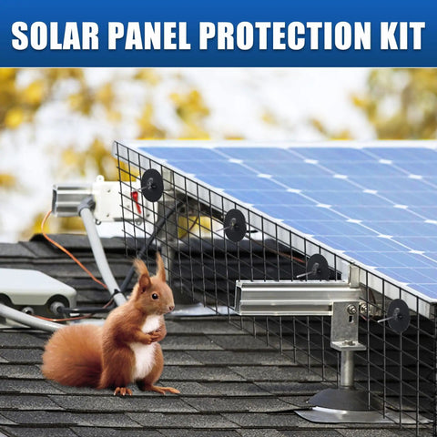 Solar Panel Bird Mesh Guard 6 Inch By 50 Foot Black PVC Coated Steel Netting installed near a solar panel with squirrel visible.