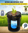 Diagram of DWC Deep Water Culture Hydroponic System For Indoor Outdoor Leafy Greens With 8 Buckets Holding 5 Gallons Each