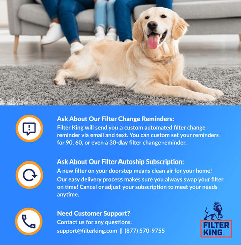 Golden retriever lying on carpet with information about Filter King's MERV 8 Pleated Air Filter subscription and support services