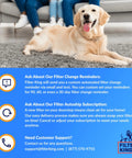 Golden retriever on carpet with Filter King air filter notification and customer support details
