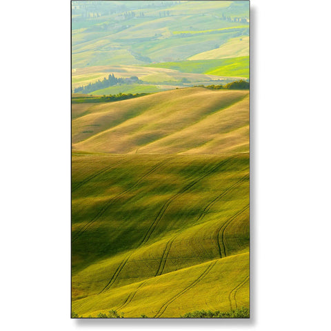 Professional Grade 55 Inch Full HD LED Monitor Built Like A Tank For Commercial Video Walls And Digital Signage Featuring Native 1920X1080 Clarity And Snappy NFC Response displaying vibrant green hills.