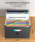 Grab And Go Expandable Accordion File Folder Boasting 25 Roomy Pockets A Heavy Duty Plastic Carry Handle Bright Index Tabs And Seamless Doc Sorting For Bills Daily Mail And A4 Letters Truly A Slick Setup showing 25 colored sections and a large black exterior.