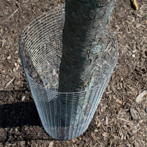 Quarter Inch Mesh Welded Wire Fence For Garden Protection And Small Animal Barriers, surrounding tree base, 24 Inch by 50 Foot