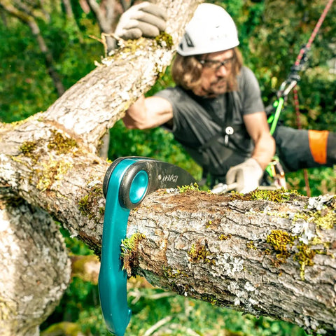 Collapsible Grapple Work Positioning Tool For Canopy Access, aluminum and stainless steel, teal hook on tree, 11.4 inch length