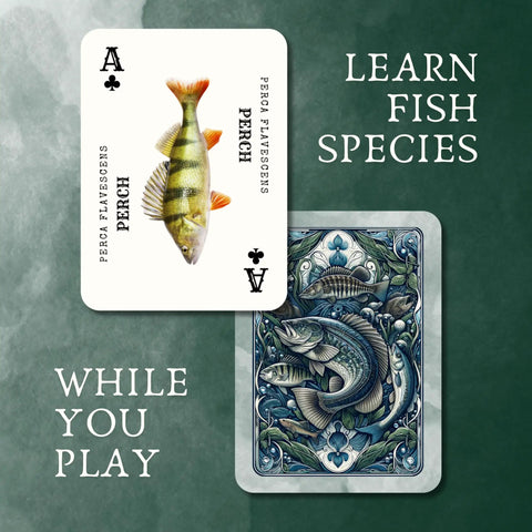 Waterproof Plastic Freshwater Fish Playing Cards With 52 Species featuring perch fish illustration and decorative card back
