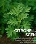 Citronella plant emphasizing "Citronella Scent" for Citronella Torch Fuel With Clean Burning Biodegradable Formula And Extended Burn Time.