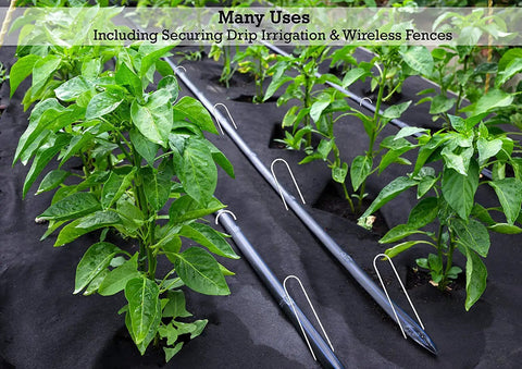 6 Inch Landscape Staples 9 Gauge Galvanized Steel Ground Cover Pins securing drip irrigation in garden