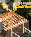 Two Pack Stainless Steel Beehive Frame Holders For Beekeeping, 5 Frame Capacity Frame Perches, Rust Resistant Mount Rack in use