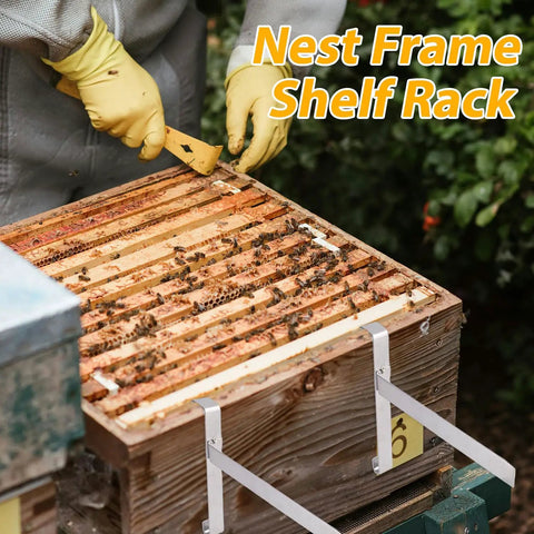 Two Pack Stainless Steel Beehive Frame Holders For Beekeeping, 5 Frame Capacity Frame Perches, Rust Resistant Mount Rack in use