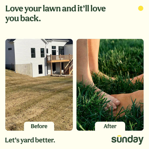 Before and after photos of a lawn using Complete Seasonal Lawn Care Kit With a 4 Month Feeding System Includes Lawn Kickstart Water Focus Green Machine and Soil Test Kit and Analysis for All Grass Types Covering Up to 5000 Sq Ft