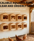 Versatile Portable Chicken Nesting Box With Detachable Ramp for Indoor Outdoor Use, wall-mounted setup for egg laying hens.