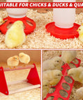 Game Changer Complete Six Piece Chick Feeder And Waterer Combo With Automatic Mini Perch For Ducks And Quail Brooder Starter Kit with chicks and feeding trough.