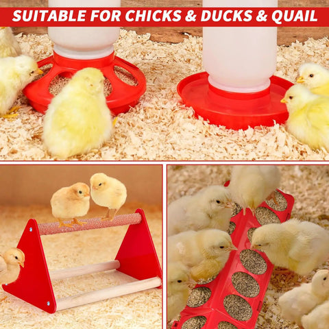 Game Changer Complete Six Piece Chick Feeder And Waterer Combo With Automatic Mini Perch For Ducks And Quail Brooder Starter Kit with chicks and feeding trough.