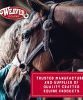 Close-up of a brown horse with a bridle featuring black leather and intricate silver details, Weaver Equine logo visible.