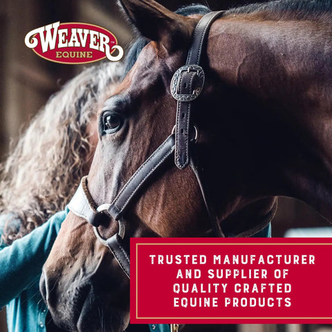 Close-up of a brown horse with a bridle featuring black leather and intricate silver details, Weaver Equine logo visible.