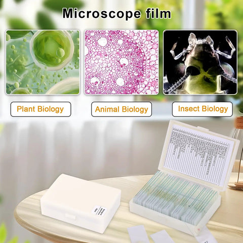 Awesome 30 Prepared Microscope Slides With Specimens For Biology Labs Includes Plants Algae Mammalian Tissues Cells And Insect Parts