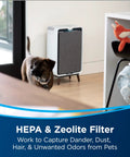 Pet Pro Filter Pack For Air Purifier Compatible With Air320 in room reducing pet dander with HEPA and Zeolite filters