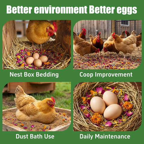 Chicken Nesting Herbs 42oz Bulk Bag For Laying Boost And Cozy Hens used in nest boxes and coop with eggs and hens