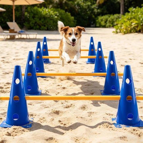 Dog jumping hurdles in Ultimate Dog Agility Hurdle Set And Cone Jump Training Kit Obstacle Course System with Adjustable Height