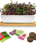 Ceramic Microgreens Growing Kit For Kitchen Garden With planter, bamboo tray, soil, and 3 crop seed mix including USDA Organic microgreens.
