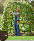 Man adjusting Super Sturdy 7 Foot Garden Arch Trellis For Climbing Plants In Backyard Raised Beds Heavy Duty Coated Metal Arbor With Cucumber Vines