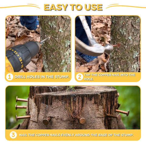 Steps showing how to use Pure Copper 3.5 Inch Nail Spikes 22 Pack Heavy Duty Tree Stump Root Removal Eco Friendly Chemical Free USA Made Durable Spikes