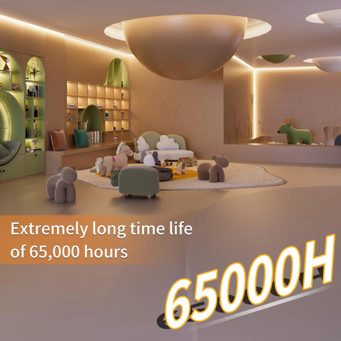 Interior with illuminated 16.4ft COB LED strip light, 65000H life, featuring Ultra Bright 16.4ft COB LED Strip Light With 2520 LEDs 4000K Natural White.