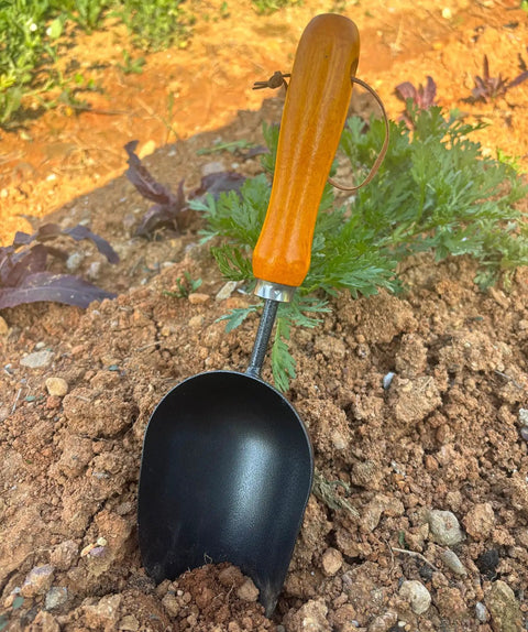 12.6-Inch Garden Hand Trowel With Wooden Handle And Rust-Resistant Steel Head for transplanting and planting in soil outdoors